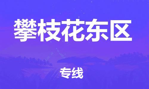 廣州到攀枝花東區(qū)物流公司,廣州至攀枝花東區(qū)貨運,廣州到攀枝花東區(qū)物流專線